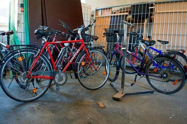 50 Fahrräder stehen für Flüchtlinge in Lahr zur Auswahl