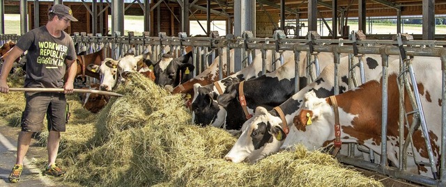 Landwirt Michael Maier aus  Grafenhaus...em Jahr geringer ausfallen als frher.  | Foto: Wilfried Dieckmann