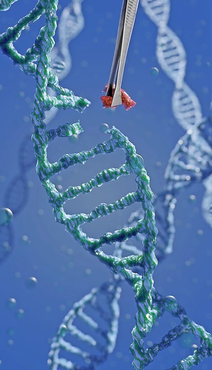 Mit Crispr/Cas kann die DNA verändert werden.  | Foto: topshots (stock.adobe.com)