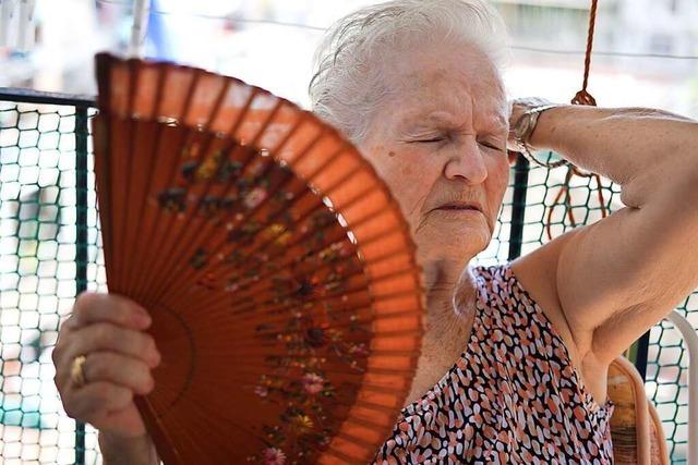 Kommunen in Südbaden wollen sich besser auf Hitze vorbereiten