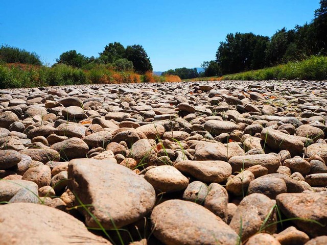 Das Flussbett der Dreisam ist ab Umkir...t wieder Wasser aus dem Schwemmfcher.  | Foto: Annika Sindlinger