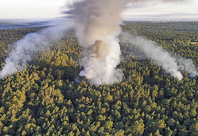 Eine Luftaufnahme zeigt den Brand im Grunewald.  | Foto: - (dpa)