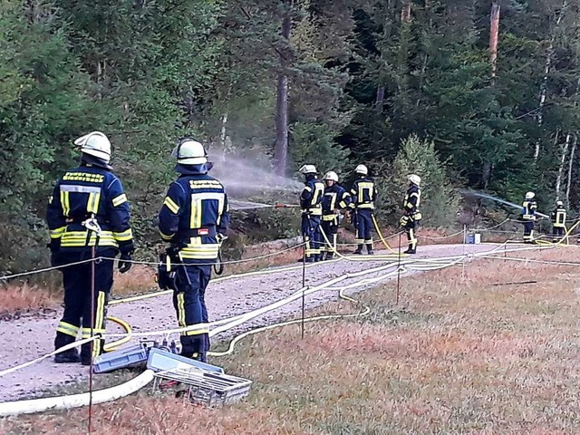 In dicker Montur bei Waldbrnden in gl...ltnisse angepasste Einsatzkleidung.    | Foto: Feuerwehr
