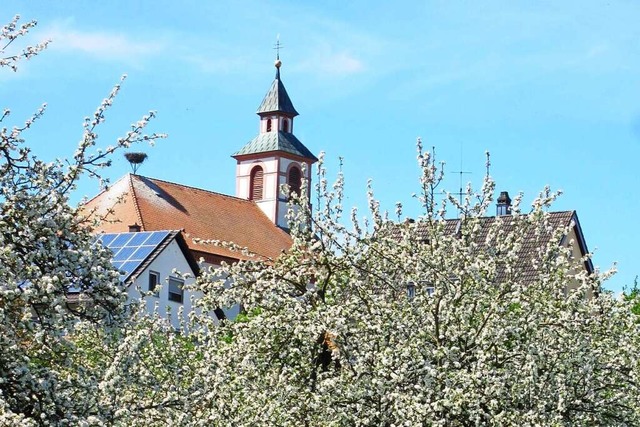 Die Tutschfeldener Kirche im Frhling, versteckt hinter Apfelblten.  | Foto: Reiner Merz