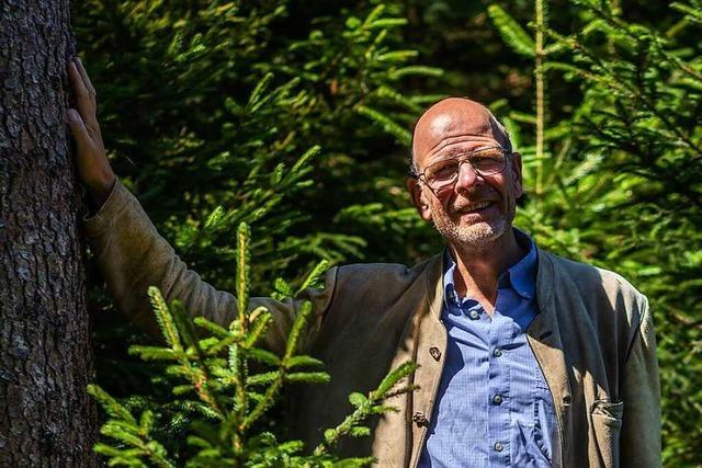 Frstenbergs Forstchef: Die Trockenheit gefhrdet den Schwarzwald