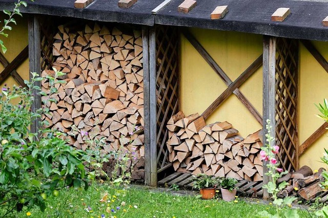 Da fehlt noch etwas: Der Bedarf nach Brennholz steigt.  | Foto: Frank Molter (dpa)