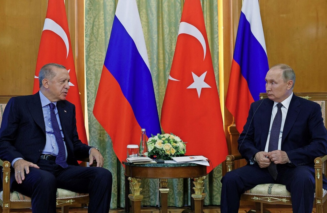 Recep Tayyip Erdogan (links) und Wladi...ungen zwischen ihren Ländern ausbauen.  | Foto: MURAT KULA (AFP)