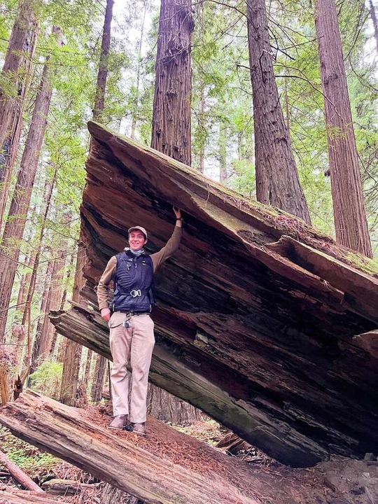 Die Baumstämme der Redwoods können ohn...n Menschen in ihrem Inneren aufnehmen.  | Foto: Verena Wolff