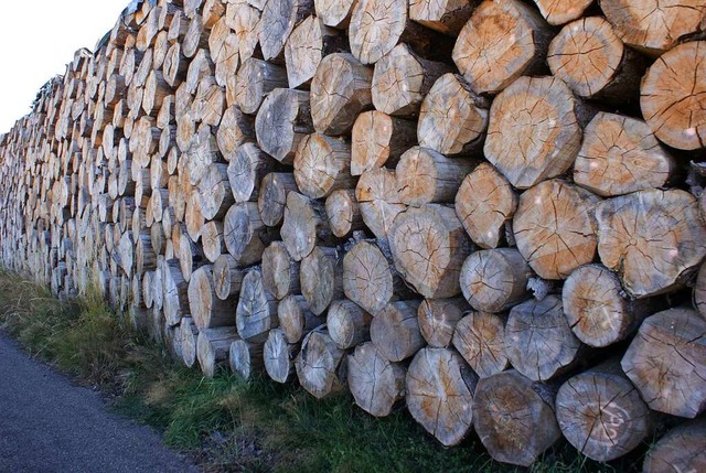 Immer grer werden die Holzlagerbest...e tausend Festmeter Rundholz gelagert.  | Foto: Werner Probst