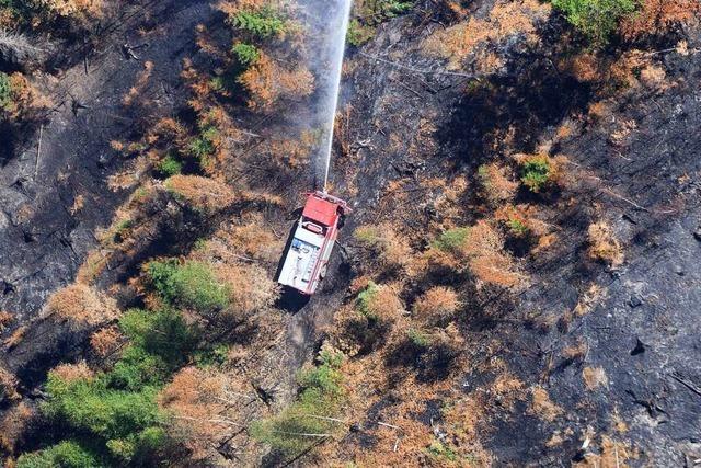 Forstwissenschaftler: Früher hat man mit Waldbränden in Süddeutschland nicht gerechnet