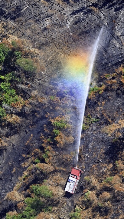 Die Waldbrandgefahr wird größer &#8211... müssen sich deshalb besser abstimmen.  | Foto: Robert Michael (dpa)