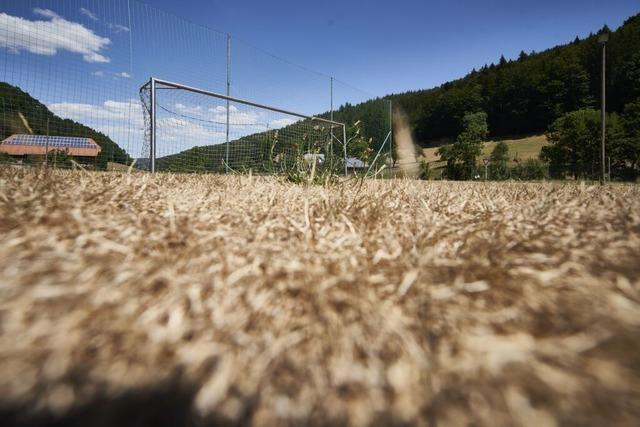 Im Ortenaukreis vertrocknen die ersten Sportpltze