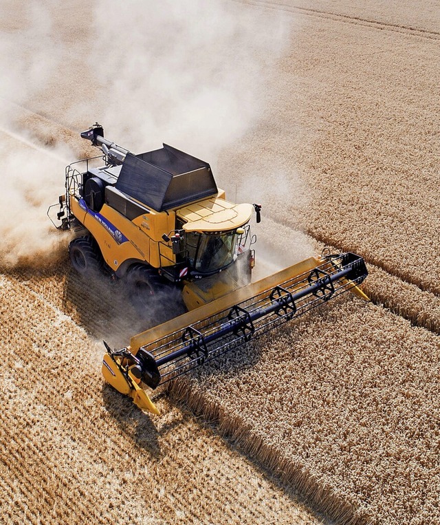 Wie kann die globale Lebensmittelverso... in Niedersachsen bei der Weizenernte.  | Foto: Julian Stratenschulte (dpa)