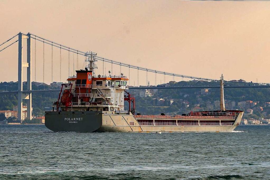 Das Frachtschiff &#8222;Polarnet&#8220... dass sich die Lage wieder verbessert.  | Foto: Emrah Gurel (dpa)