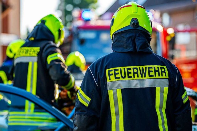 Drei Abteilungen der Feuerwehr Rheinfelden rckten aus.  | Foto: David Inderlied (dpa)