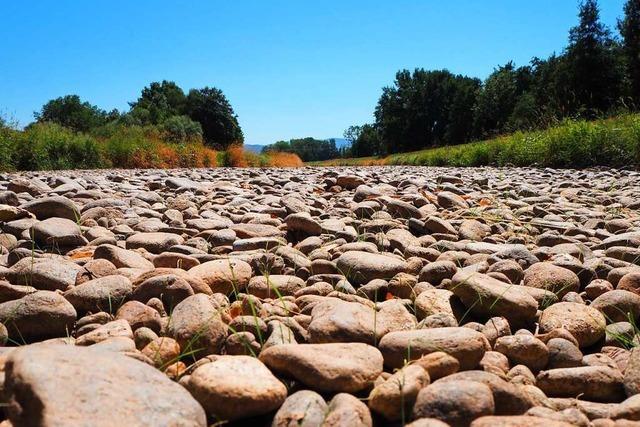 Viele Flsse in Baden-Wrttemberg fhren alarmierend wenig Wasser