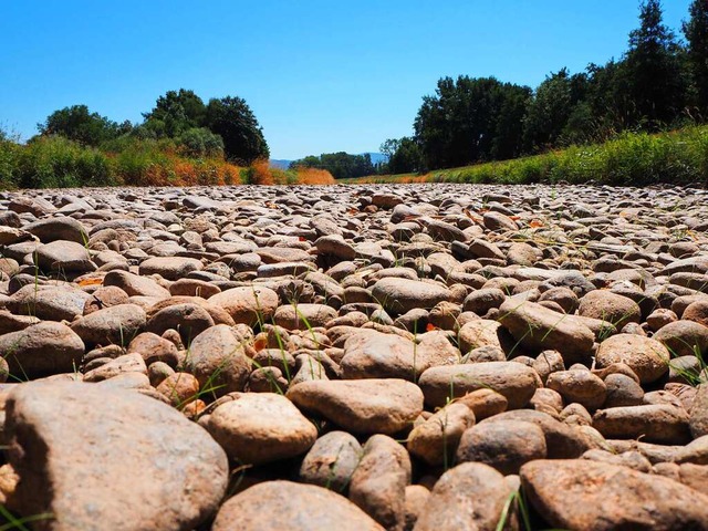 Auch die Dreisam leidet unter Wasserma...bett der ist ab Umkirch ausgetrocknet.  | Foto: Annika Sindlinger