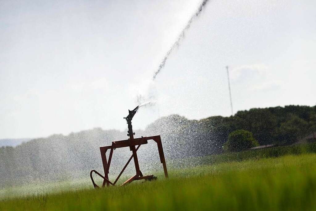 Farmer slows down the Breisgau S-Bahn with a sprinkler system – Emmendingen district