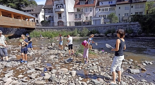 <BZ-FotoAnlauf>Ferienaktion II:</BZ-FotoAnlauf> junge Forscher an der Elz   | Foto: privat