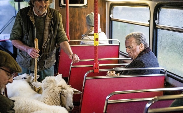Auch eine Schafherde trifft der 90-jhrige Rentner Tom auf seiner Reise.  | Foto: - (dpa)