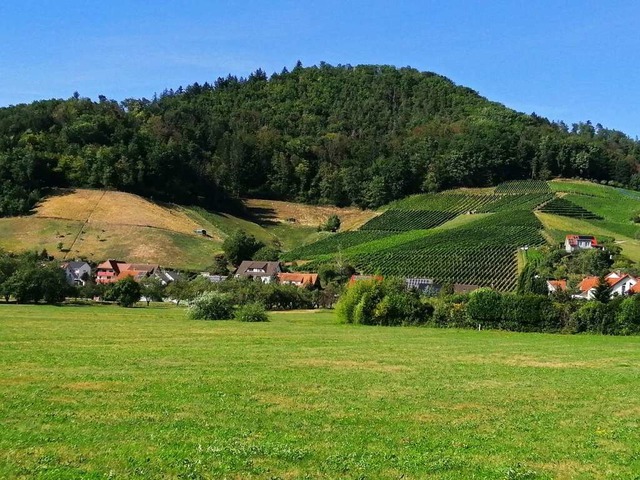 Die Stilllegung von Flchen, wie hier ...rndert die Landschaft in der Ortenau.  | Foto: Winfried Kninger