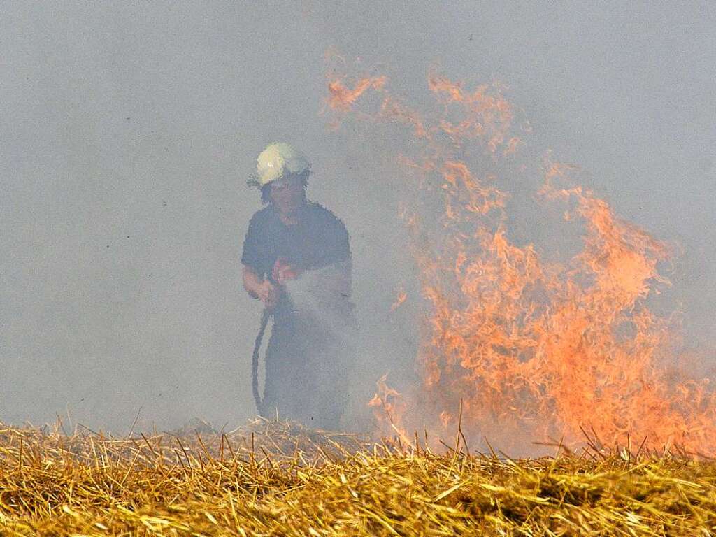 Sachsen-Anhalt: Ein Feuerwehrmann lscht zwischen Hedersleben und Heteborn einen Feldbrand.