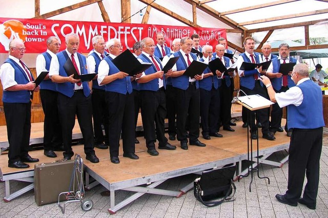 Ein Bild aus besseren Tagen: Der Mnnerchor bei einem Auftritt 2008 in Bleibach.  | Foto: privat