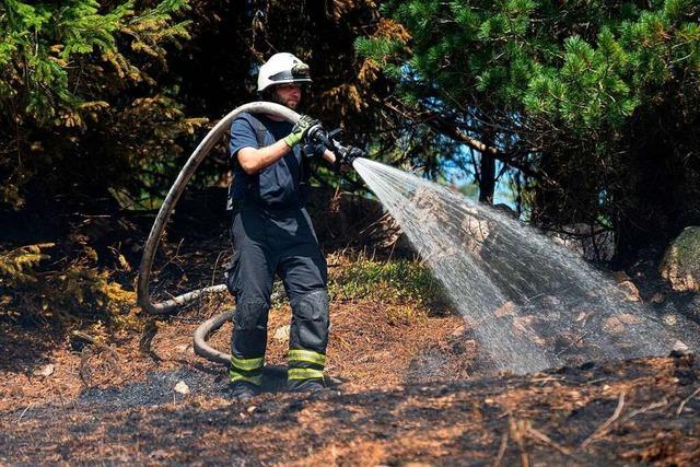 Trotz Brandgefahr: Lagerfeuer im Wald