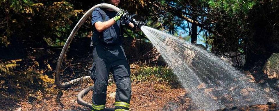 Trotz Brandgefahr: Lagerfeuer im Wald