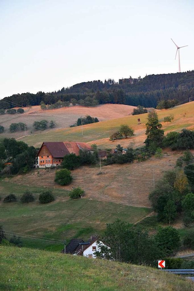 Die zuknftige Nutzung leerstehender H...ersitzung des Gemeinderats in Freiamt.  | Foto: Benedikt Sommer