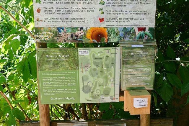 Nachhaltig Gärtnern für Biodiversität und das Klima