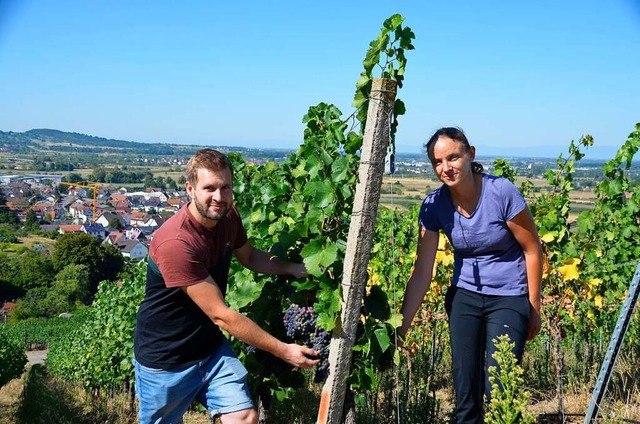 Weinbauberater Johannes Werner und Pfl...och auch die Trockenschden nehmen zu.  | Foto: Hubert Rderer