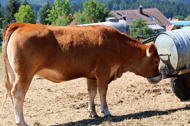 Zwischen 140 und 150 Liter Wasser brau...ltemperaturen reichen 80 bis 90 Liter.  | Foto: Martha Weishaar