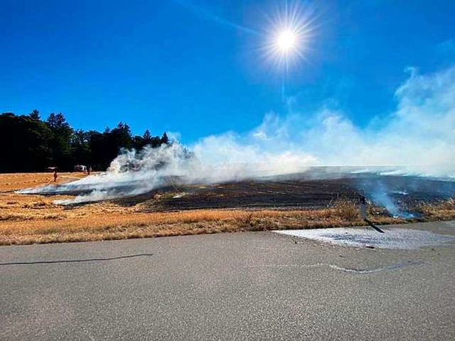 Ein Hektar brannte am Mittwoch im Grwihler Ortsteil Segeten  | Foto: Feuerwehr Todtmoos