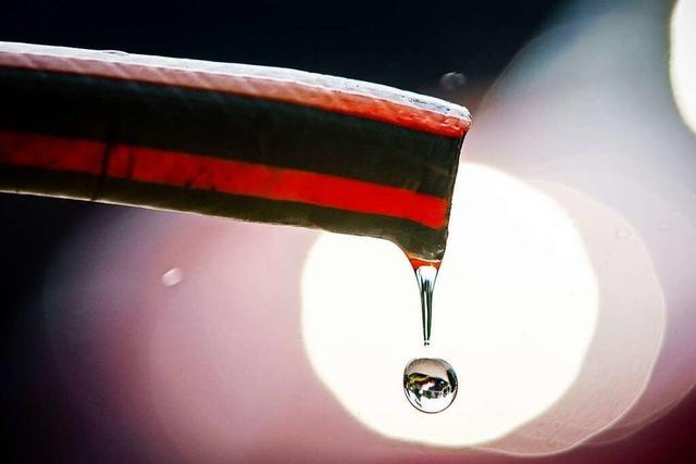 Erste Bauernhfe im Schwarzwald haben kein Wasser mehr - Hofsgrund bereitet sich auf Notfall vor