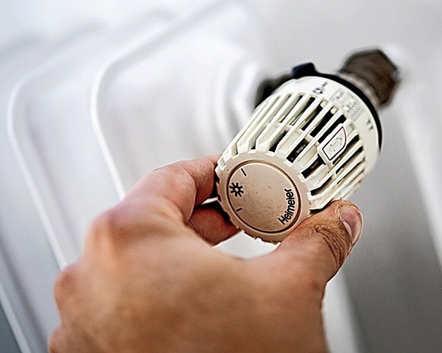 Thermostat einer Zeitung  | Foto: Hauke-Christian Dittrich (dpa)