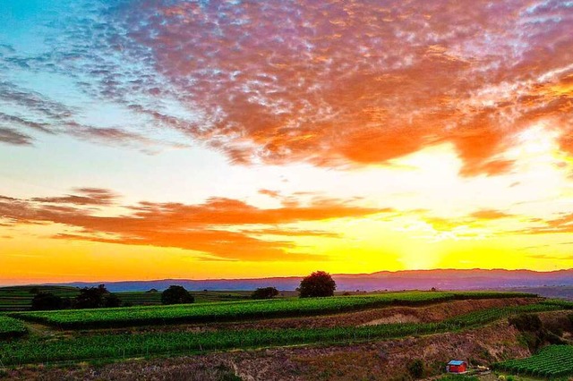 Sonnenaufgang bei Btzingen.  | Foto: Thomas Gemmert