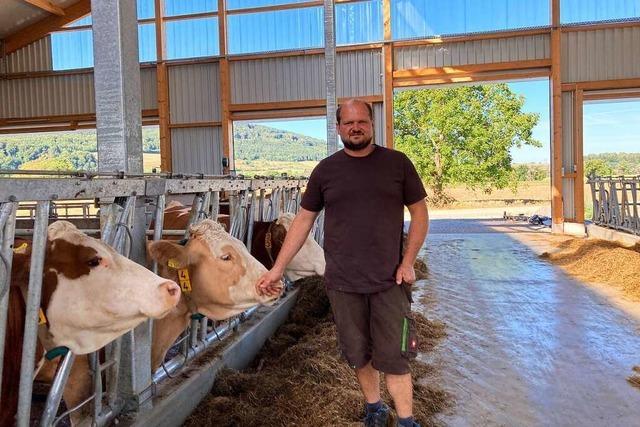 Den Hochrhein-Bauern und ihren Tieren bleibt nur noch die Hoffnung auf Regen