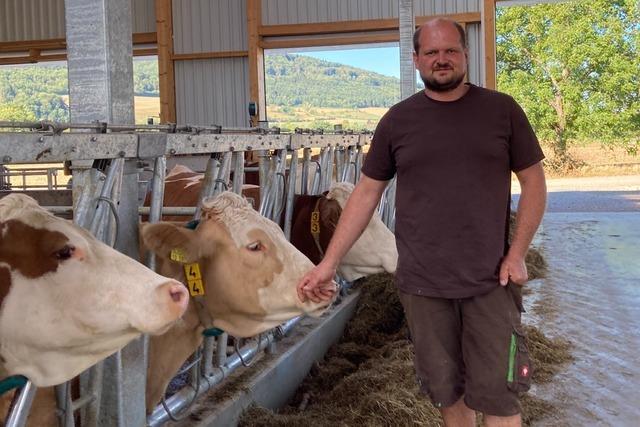 Hochrhein-Bauern und ihren Tieren bleibt nur die Hoffnung auf Regen