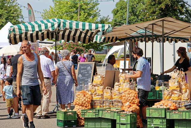 Die Kartoffel, Forchheims tolle Knolle...s Herdepfelfests und des Bauernmarkts.  | Foto: Ruth Seitz