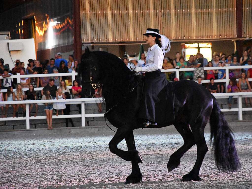 Reitclub Gundelfingen feiert mit groem Turnier und einer Show 50-jhriges Bestehen.