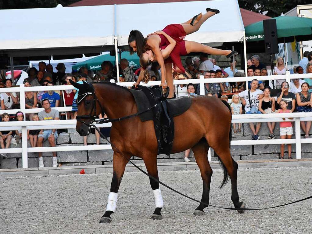 Reitclub Gundelfingen feiert mit groem Turnier und einer Show 50-jhriges Bestehen.