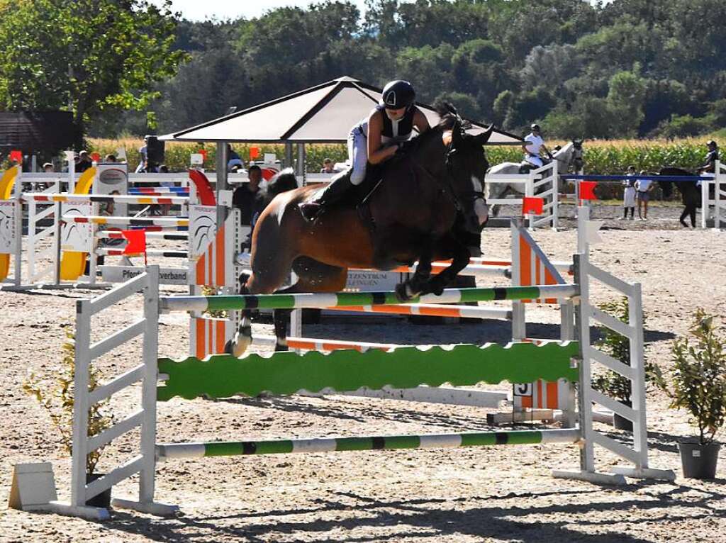 Reitclub Gundelfingen feiert mit groem Turnier und einer Show 50-jhriges Bestehen.