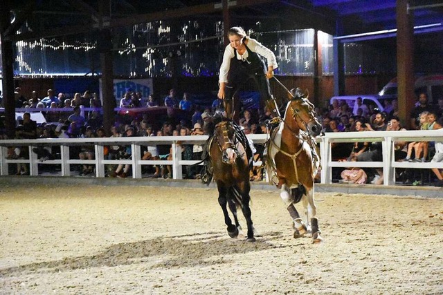 Zur Show der Pferde kamen am Samstagabend viele  Zuschauende.  | Foto: Andrea Steinhart