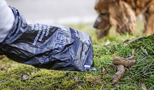 Hundekot gehrt  nicht auf Weiden oder in die Natur.  | Foto: Christoph Schmidt