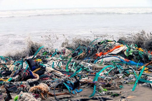 Tausende Tonnen Mll an einem Strand i...e dafr, den Strand davon zu befreien.  | Foto: Norman Crdova (dpa)