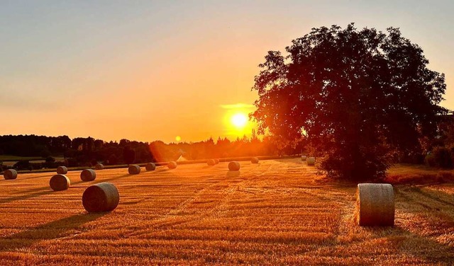 Blick von Bad Krozingen Richtung Schlatt  | Foto: Claus Schlicker