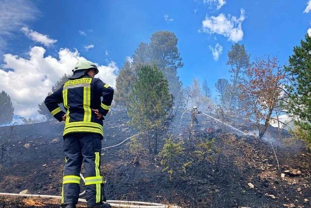 Bei Vegetationsbrnden kmpft die Feuerwehr mit Glut und Klimawandel