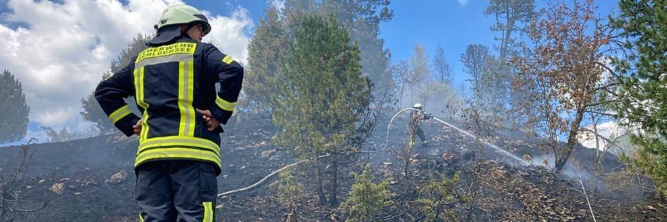 Bei Vegetationsbränden kämpft die Feuerwehr mit Glut und Klimawandel