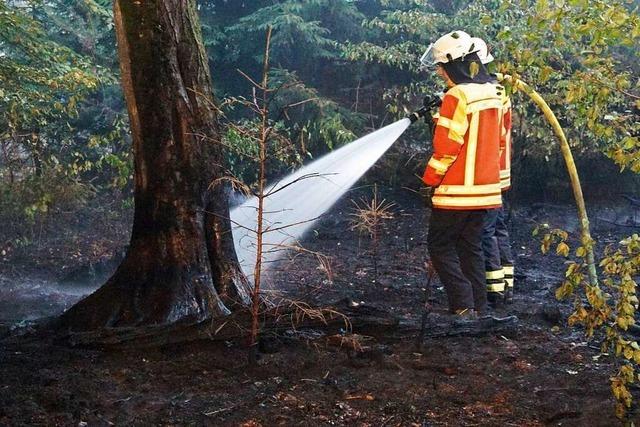 Forstkammer: Wlder in Baden-Wrttemberg nicht auf Brandgefahr vorbereitet